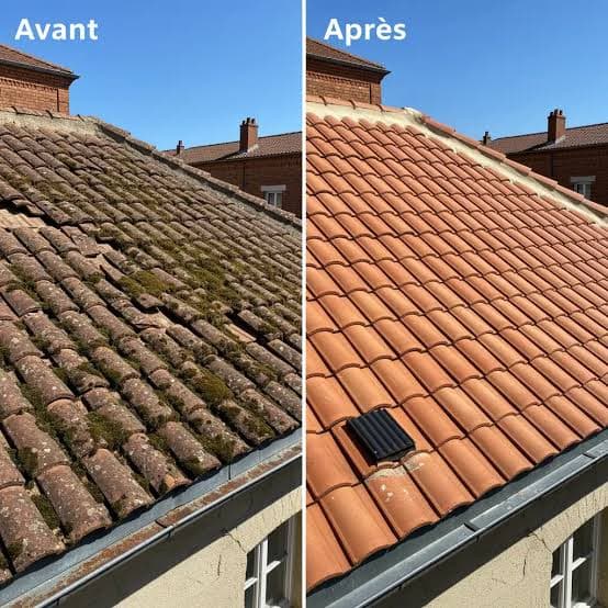 Toiture avant et après démoussage